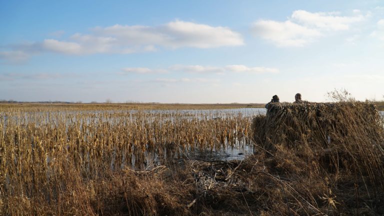 Double Cluck | New LandCo project offering premier hunting and fishing memberships