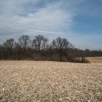Land for Sale LandCo Peoria County 80 Acres-1