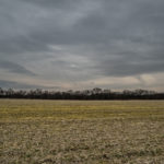 Land for Sale LandCo Peoria County 80 Acres-13
