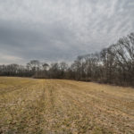 Land for Sale LandCo Peoria County 80 Acres-14