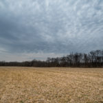 Land for Sale LandCo Peoria County 80 Acres-15