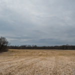 Land for Sale LandCo Peoria County 80 Acres-2