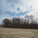 Land for Sale LandCo Peoria County 80 Acres-3