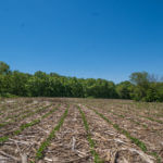 landco 17 acres for sale in knox county illinois-11