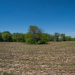 landco 17 acres for sale in knox county illinois-12