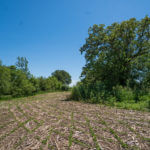 landco 17 acres for sale in knox county illinois-13