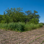 landco 17 acres for sale in knox county illinois-3