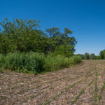 landco 17 acres for sale in knox county illinois-4
