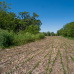 landco 17 acres for sale in knox county illinois-6