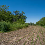 landco 17 acres for sale in knox county illinois-7