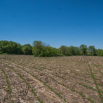 landco 17 acres for sale in knox county illinois-8
