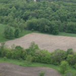 bottom-field-food-plot-tract-24_6038245639_o