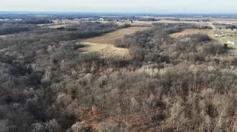 84.25 Acres for Sale in Woodford County