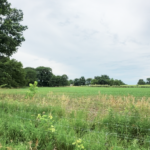 Land-for-Sale-LandCo-Farmland-for-Sale-2024-07-03-at-10.47.24-AM