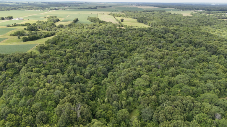 80 Acres for Sale in Peoria County, with Incredible Lake Site